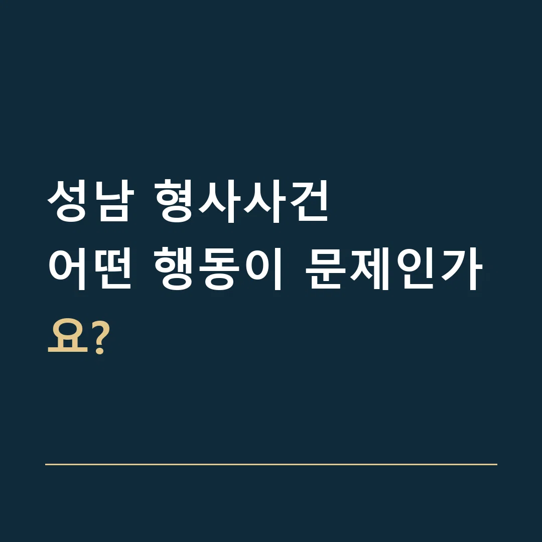 성남 형사사건 · 어떤 행동이 문제인가요?