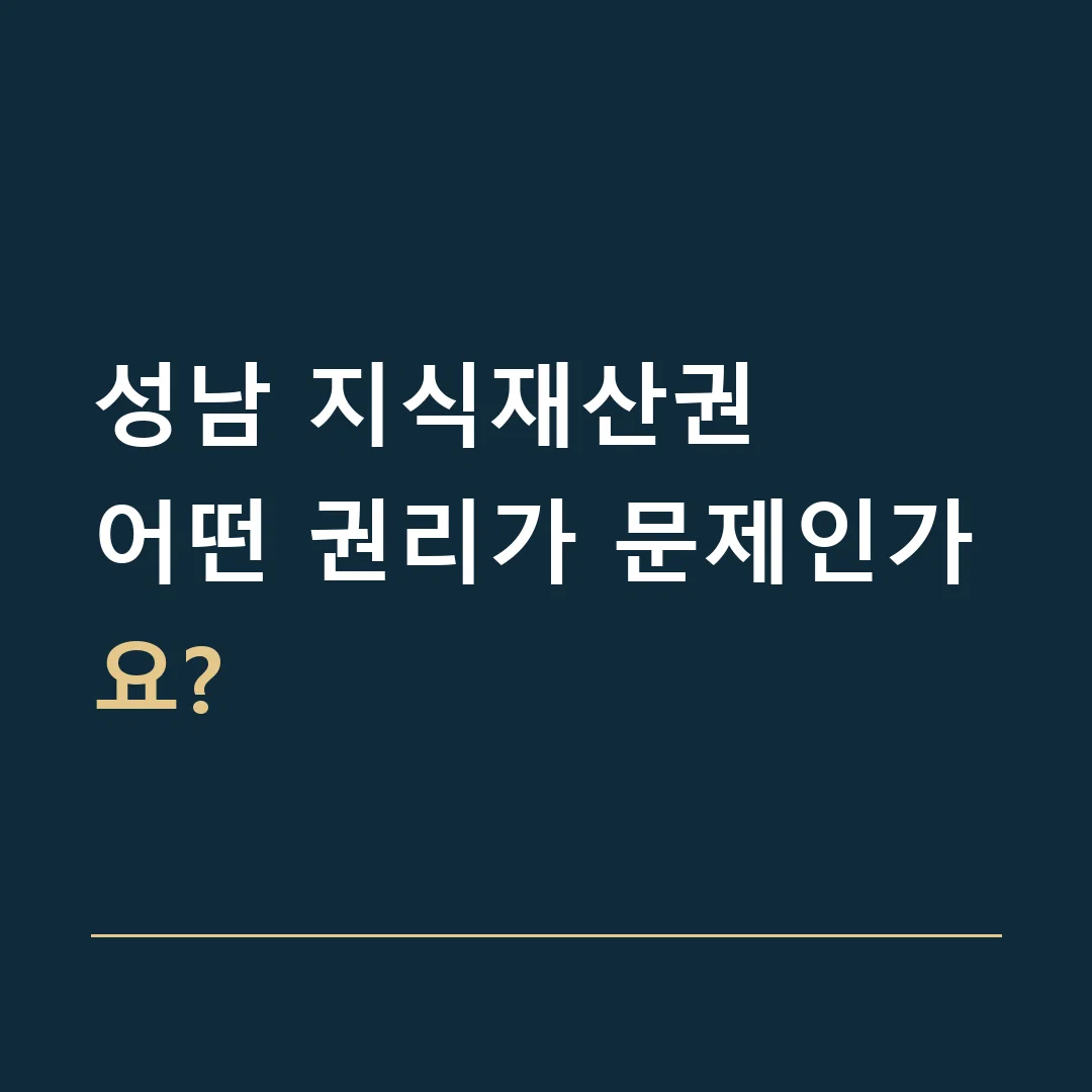 성남 지식재산권 · 어떤 권리가 문제인가요?