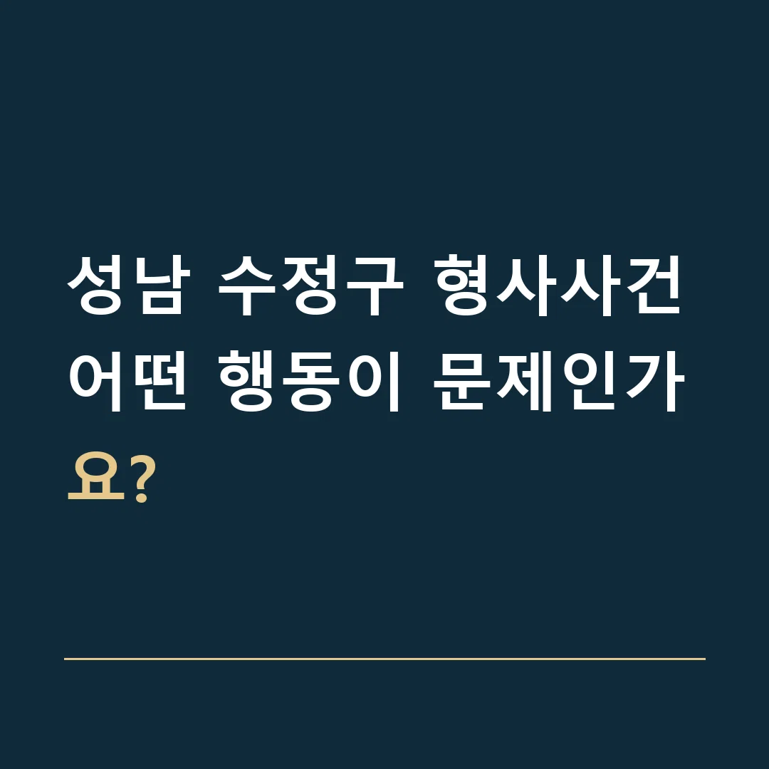성남 수정구 형사사건 · 어떤 행동이 문제인가요?