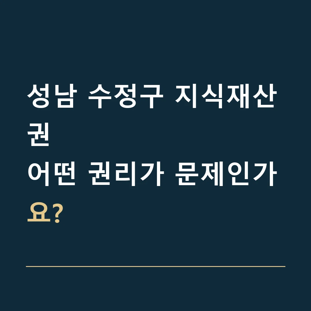 성남 수정구 지식재산권 · 어떤 권리가 문제인가요?