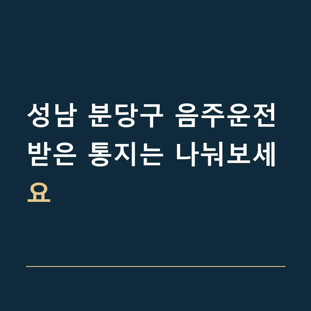성남 분당구 음주운전 · 받은 통지는 나눠보세요