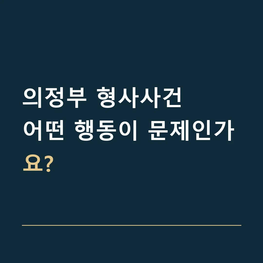 의정부 형사사건 · 어떤 행동이 문제인가요?