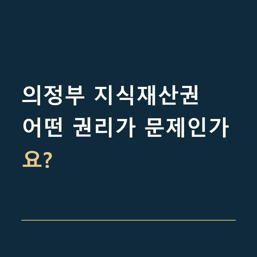의정부 지식재산권 · 어떤 권리가 문제인가요?