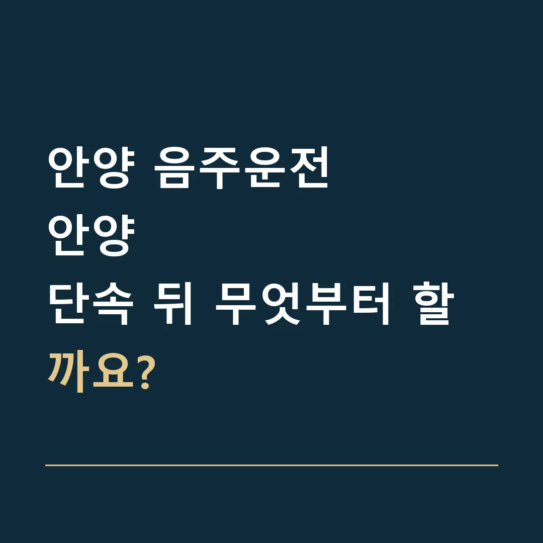 안양 음주운전 · 안양
단속 뒤 무엇부터 할까요?