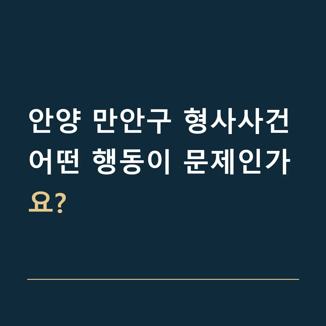 안양 만안구 형사사건 · 어떤 행동이 문제인가요?