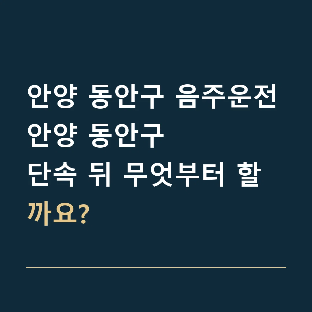 안양 동안구 음주운전 · 안양 동안구
단속 뒤 무엇부터 할까요?