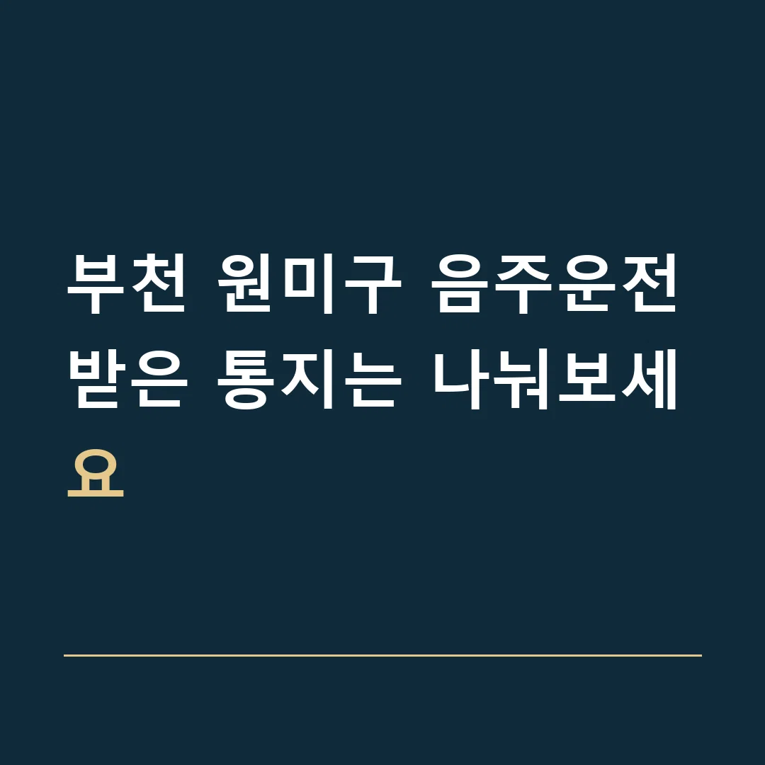 부천 원미구 음주운전 · 받은 통지는 나눠보세요
