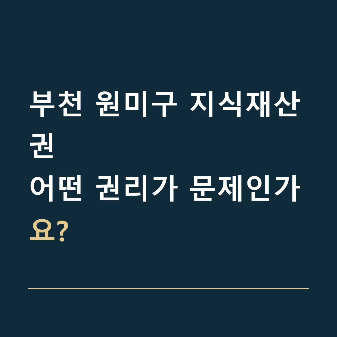 부천 원미구 지식재산권 · 어떤 권리가 문제인가요?