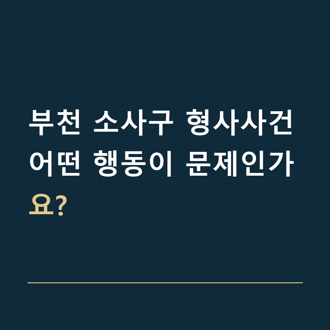 부천 소사구 형사사건 · 어떤 행동이 문제인가요?