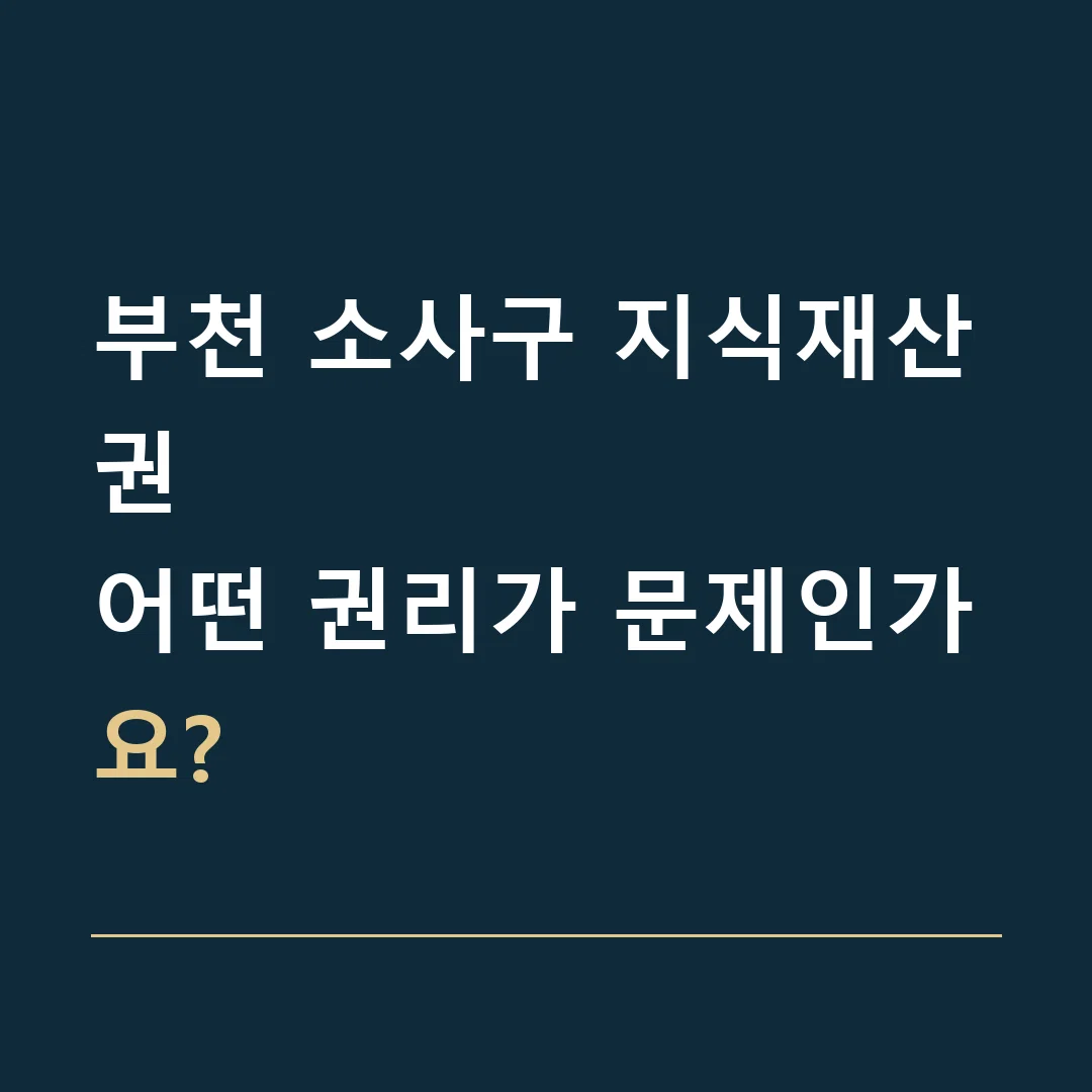부천 소사구 지식재산권 · 어떤 권리가 문제인가요?