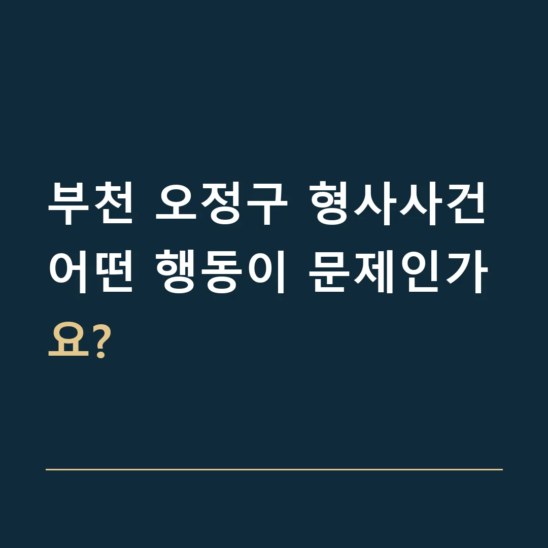부천 오정구 형사사건 · 어떤 행동이 문제인가요?