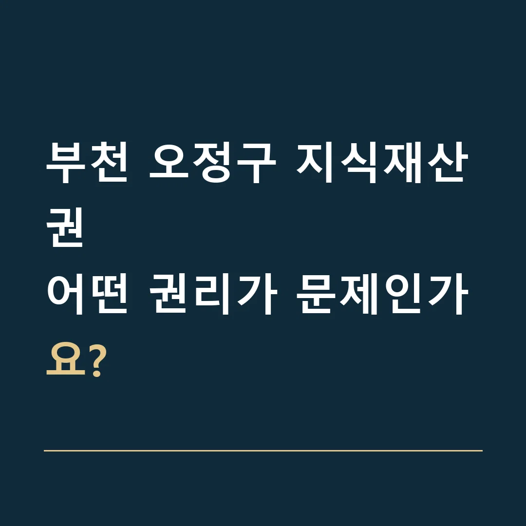 부천 오정구 지식재산권 · 어떤 권리가 문제인가요?