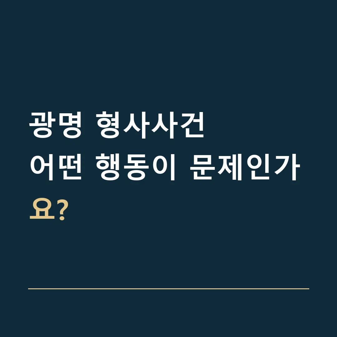 광명 형사사건 · 어떤 행동이 문제인가요?