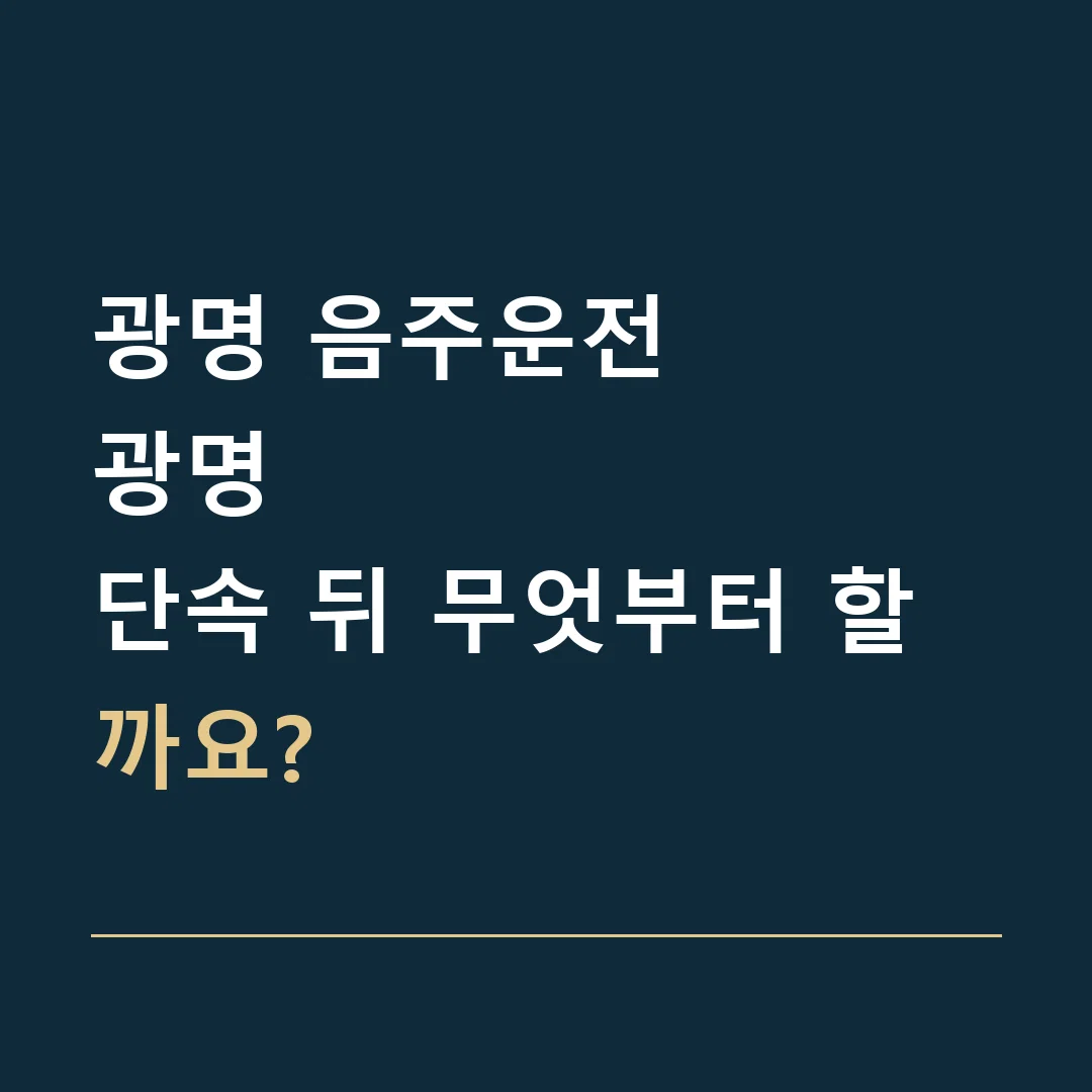 광명 음주운전 · 광명
단속 뒤 무엇부터 할까요?
