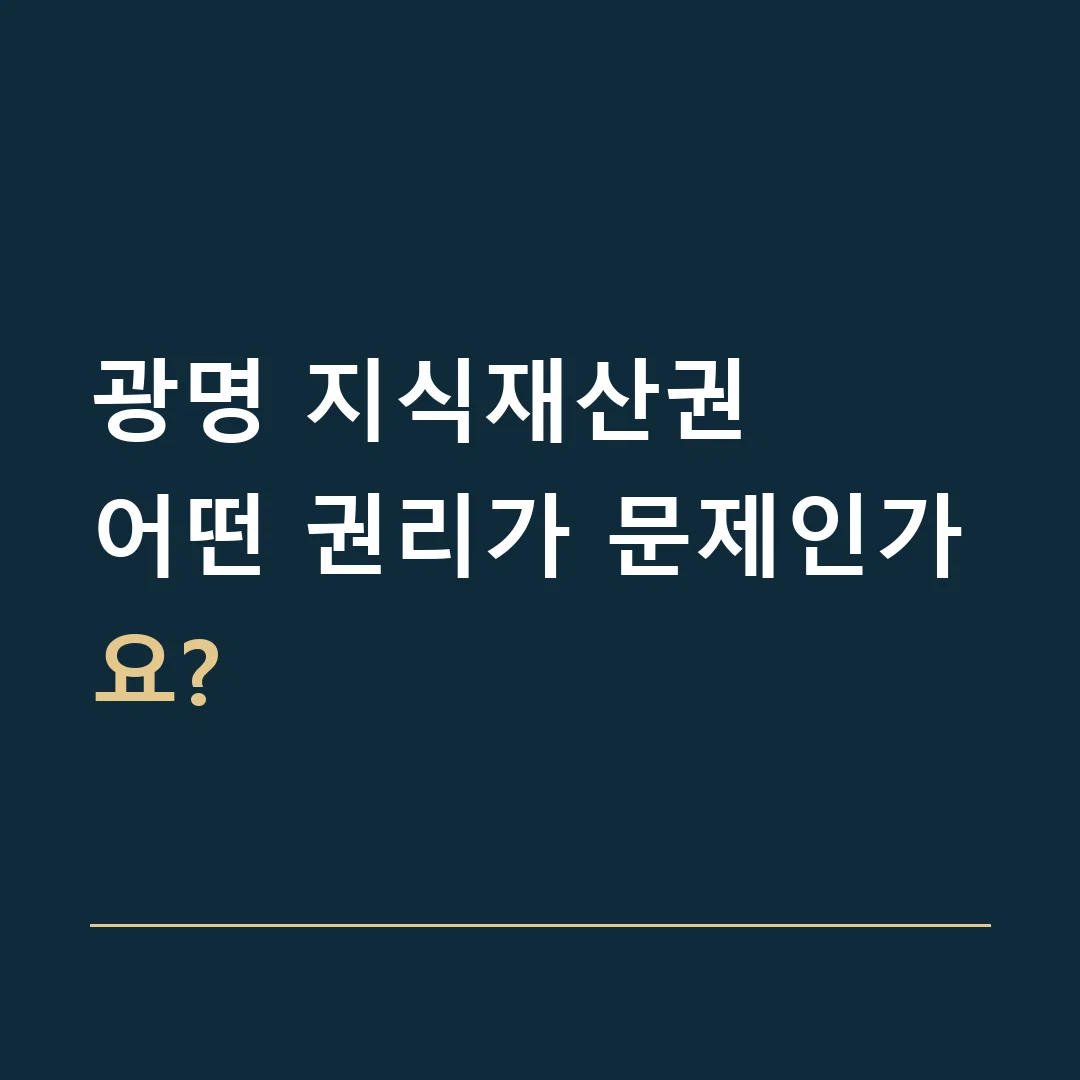 광명 지식재산권 · 어떤 권리가 문제인가요?