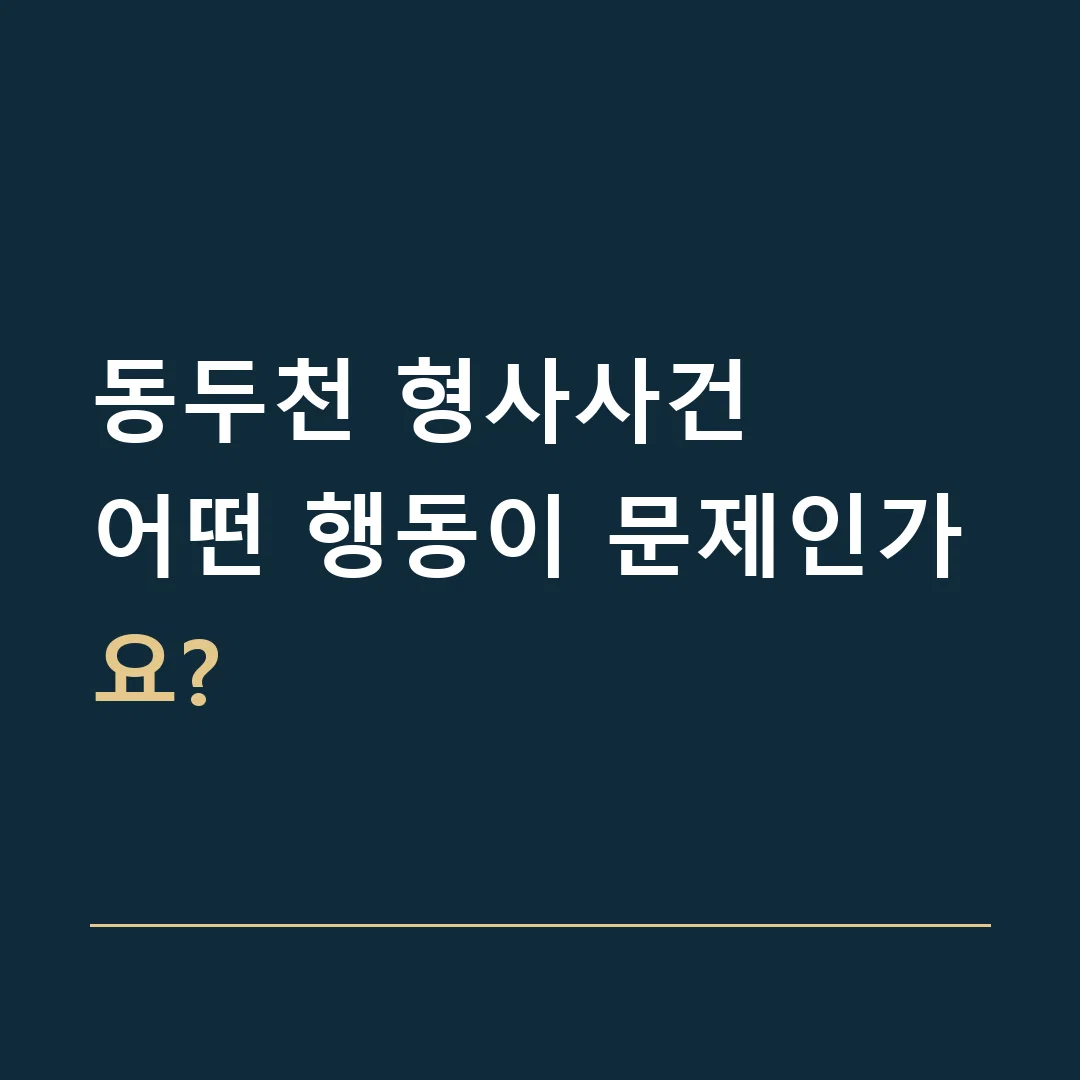 동두천 형사사건 · 어떤 행동이 문제인가요?