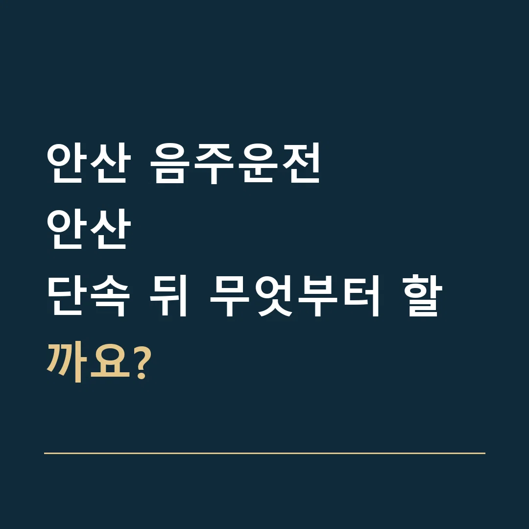 안산 음주운전 · 안산
단속 뒤 무엇부터 할까요?