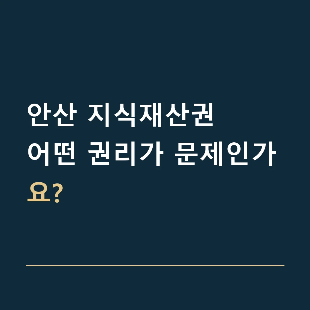 안산 지식재산권 · 어떤 권리가 문제인가요?