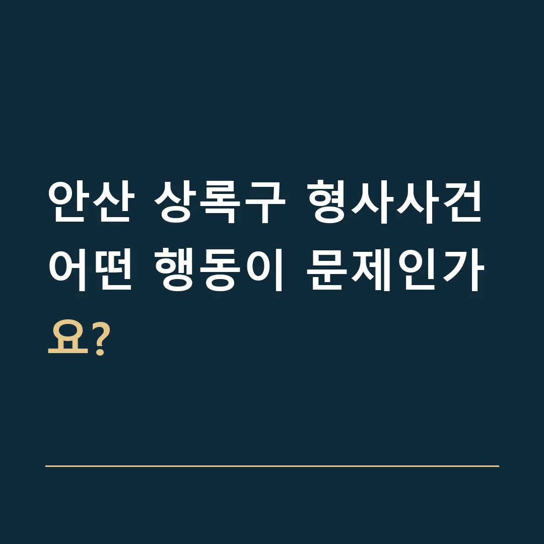 안산 상록구 형사사건 · 어떤 행동이 문제인가요?