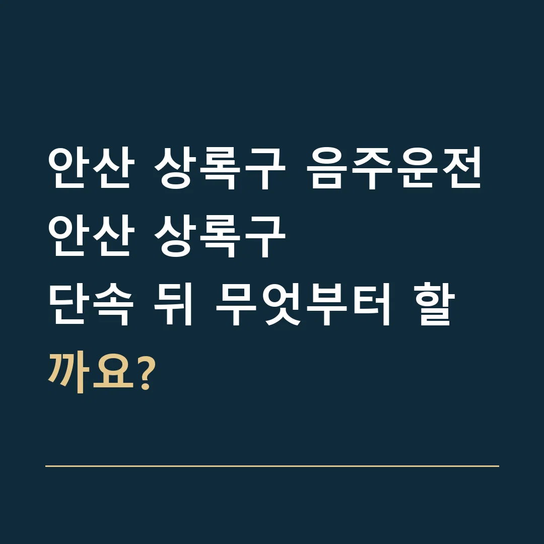 안산 상록구 음주운전 · 안산 상록구
단속 뒤 무엇부터 할까요?