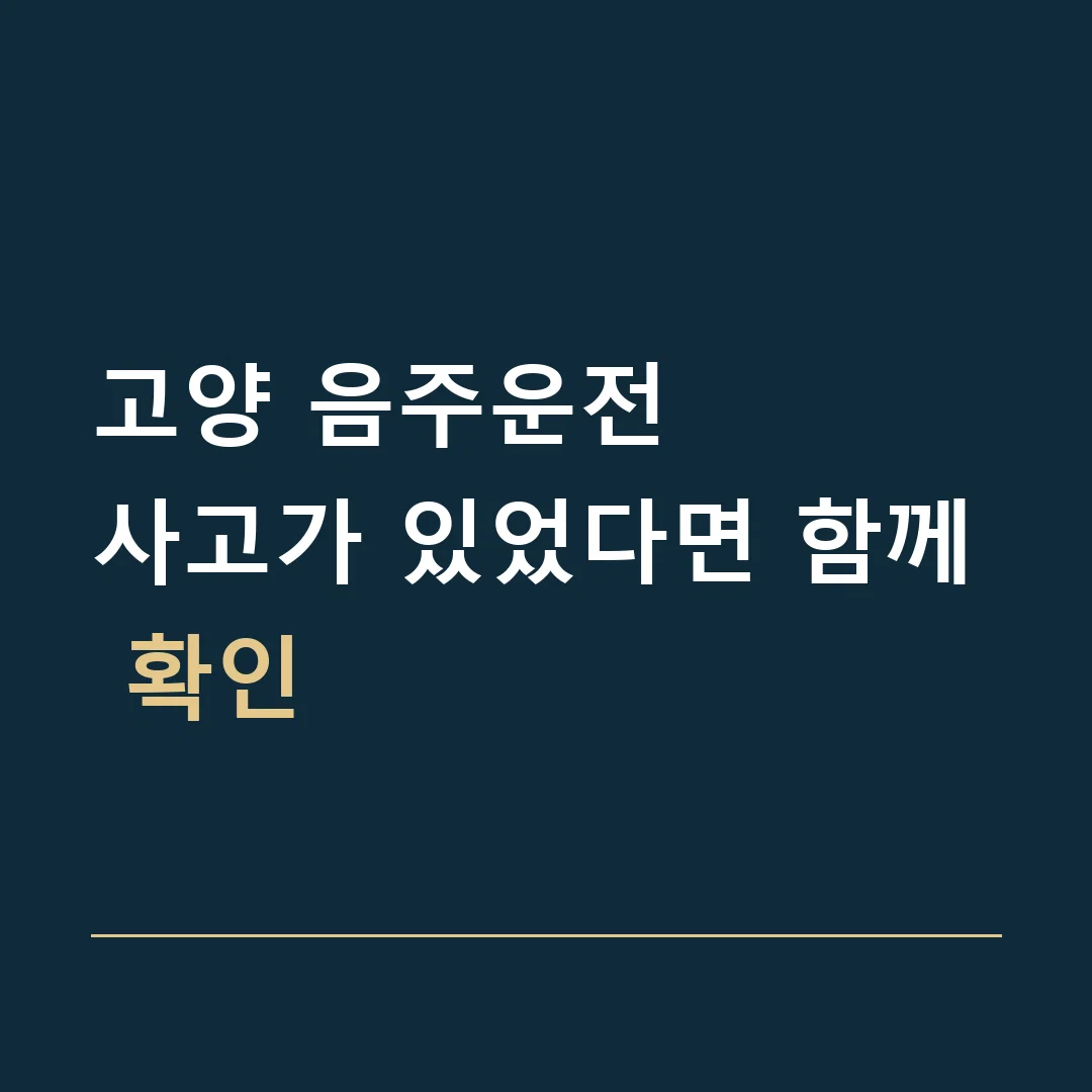 고양 음주운전 · 사고가 있었다면 함께 확인