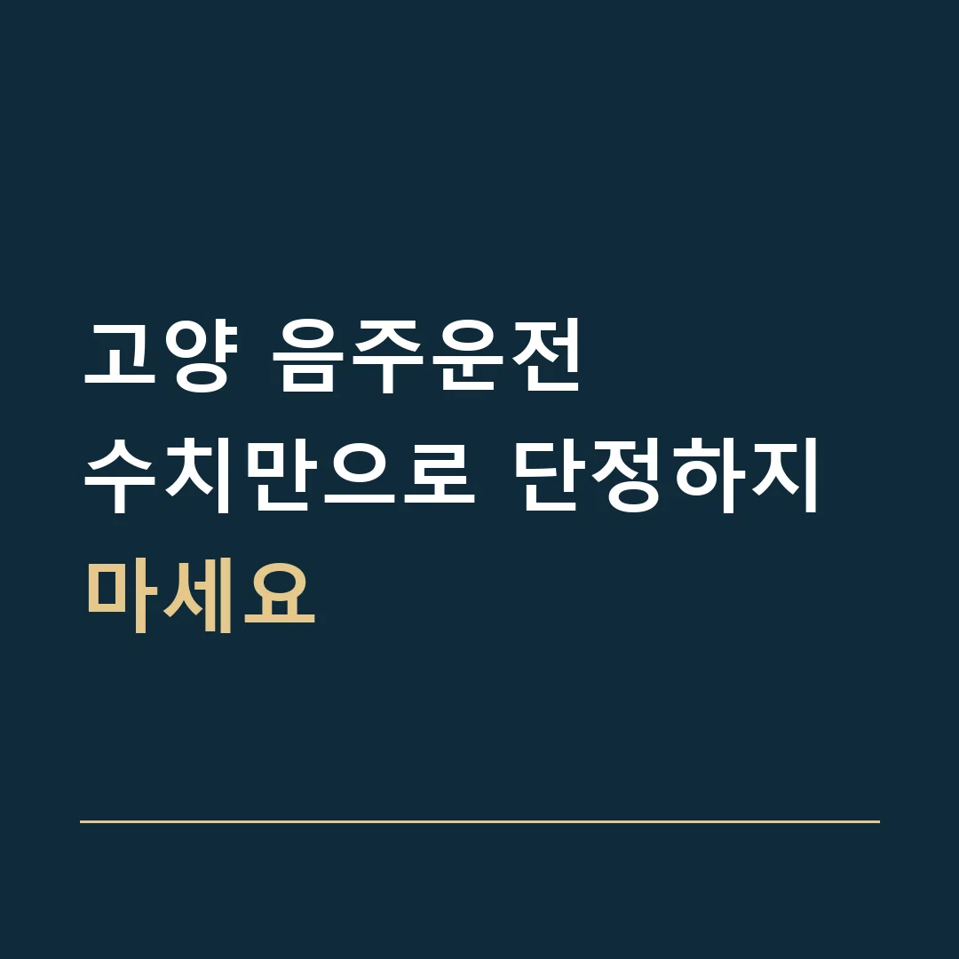 고양 음주운전 · 수치만으로 단정하지 마세요