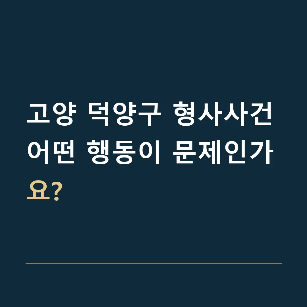 고양 덕양구 형사사건 · 어떤 행동이 문제인가요?