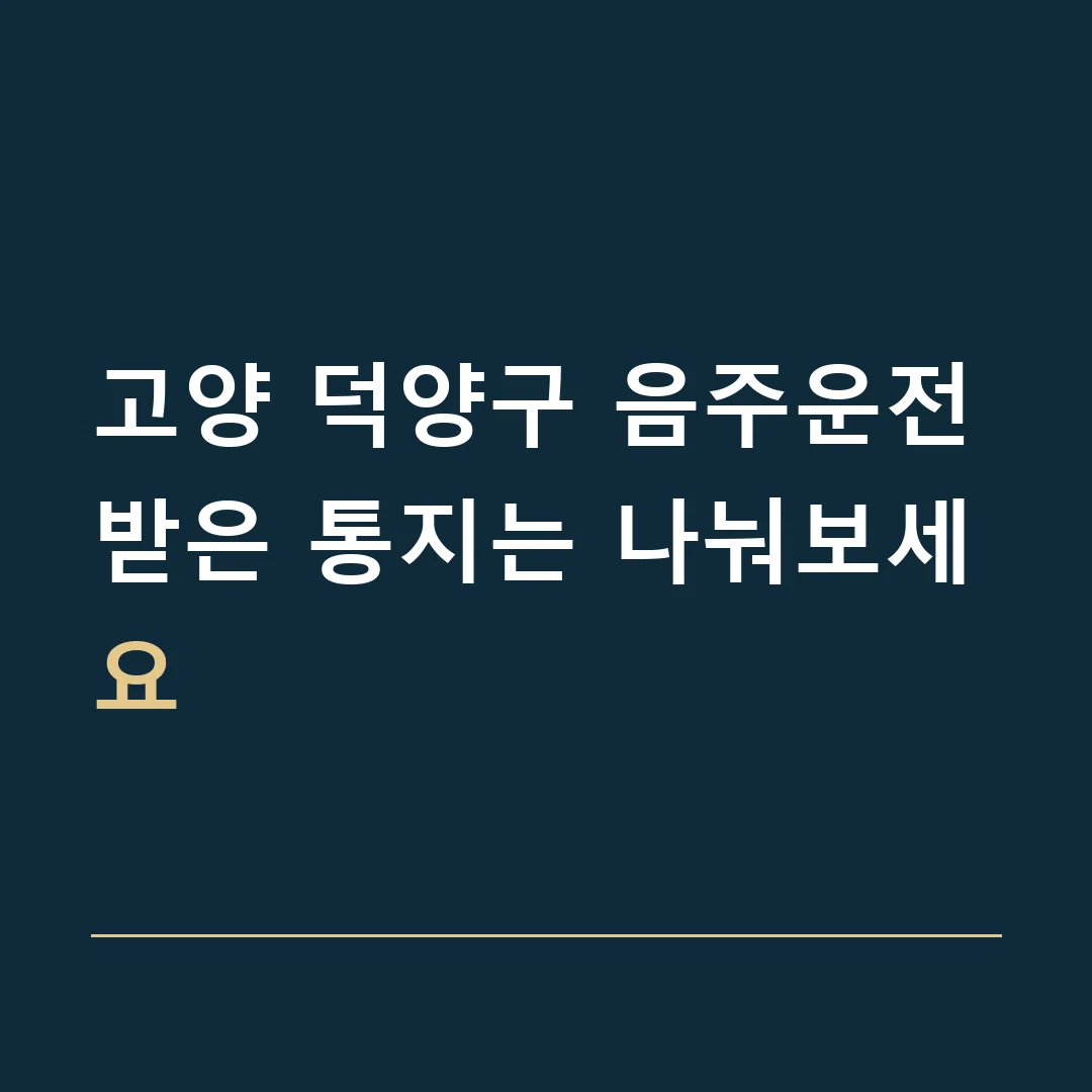 고양 덕양구 음주운전 · 받은 통지는 나눠보세요
