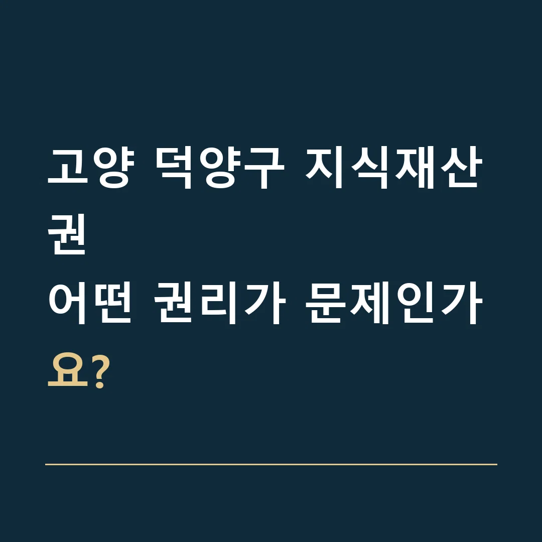 고양 덕양구 지식재산권 · 어떤 권리가 문제인가요?