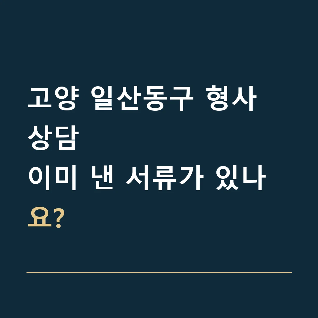 고양 일산동구 형사 상담 · 이미 낸 서류가 있나요?
