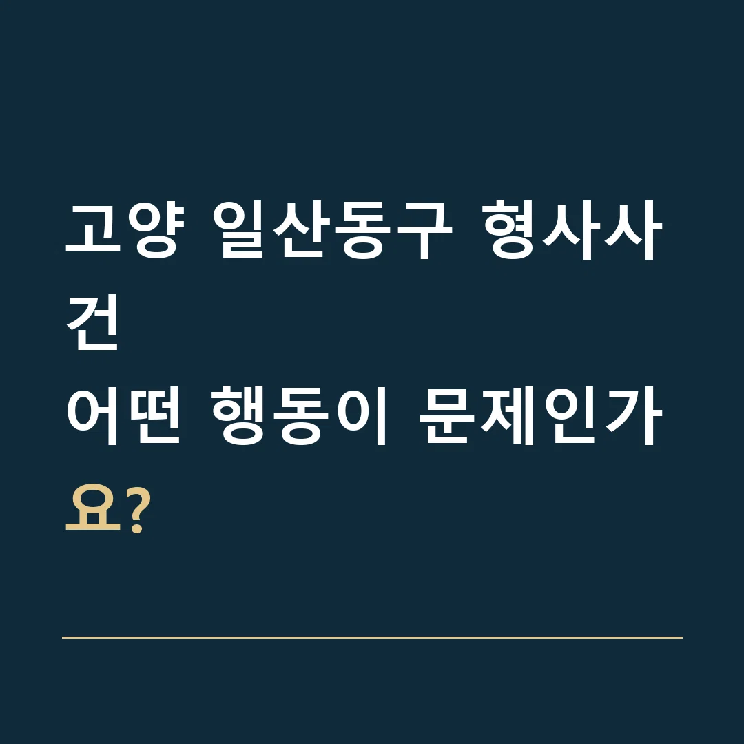 고양 일산동구 형사사건 · 어떤 행동이 문제인가요?