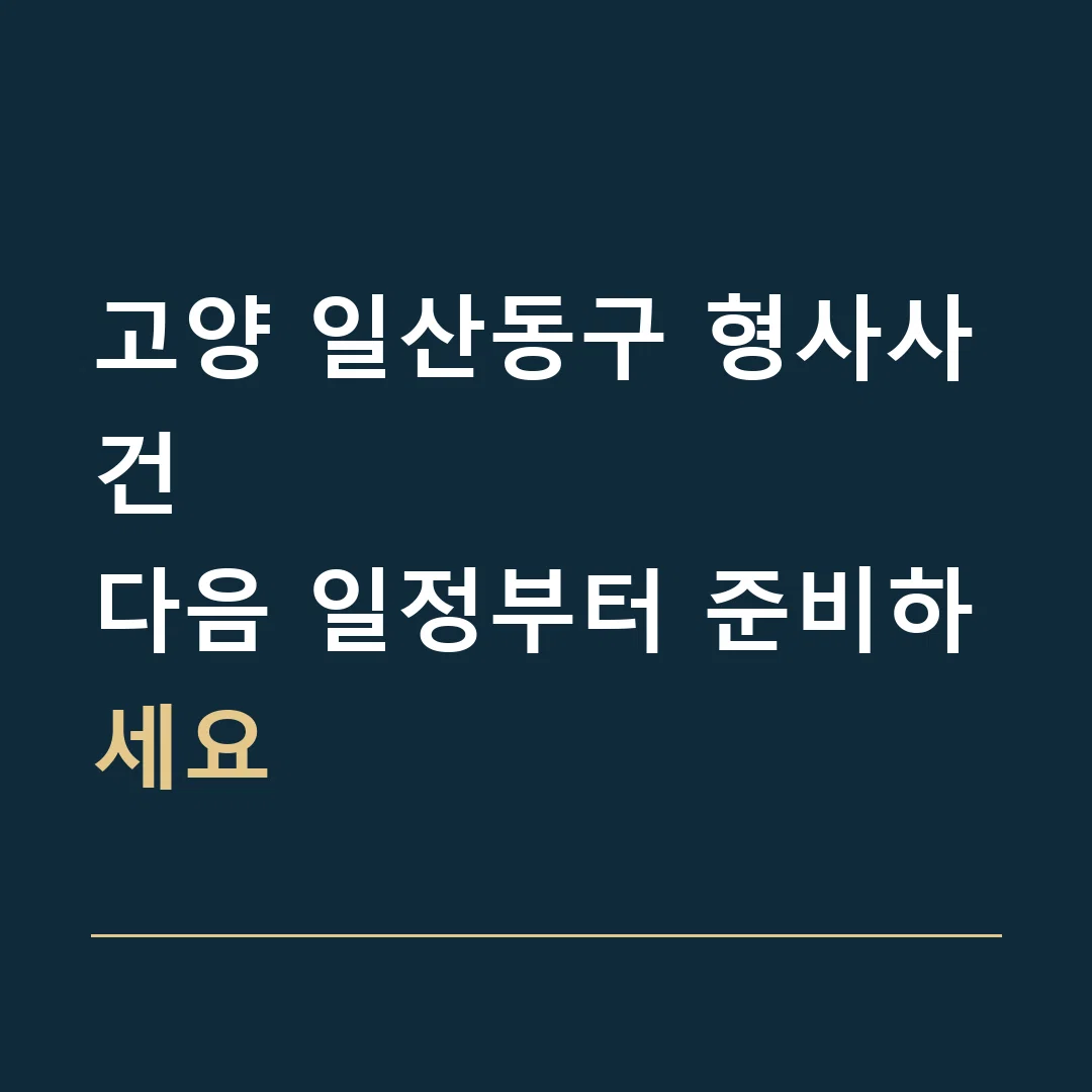 고양 일산동구 형사사건 · 다음 일정부터 준비하세요
