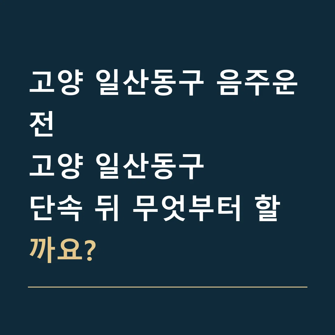 고양 일산동구 음주운전 · 고양 일산동구
단속 뒤 무엇부터 할까요?
