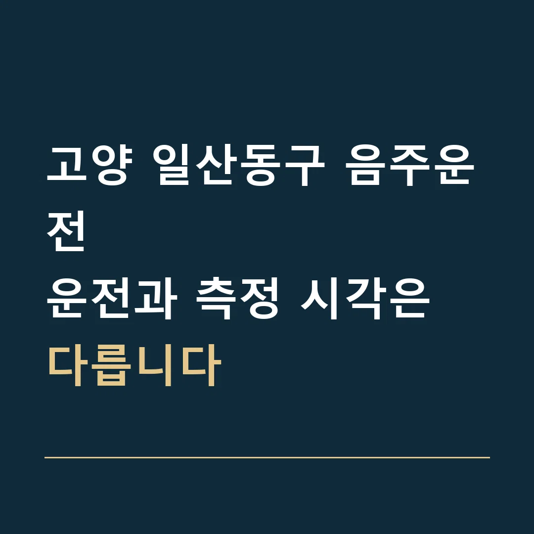 고양 일산동구 음주운전 · 운전과 측정 시각은 다릅니다