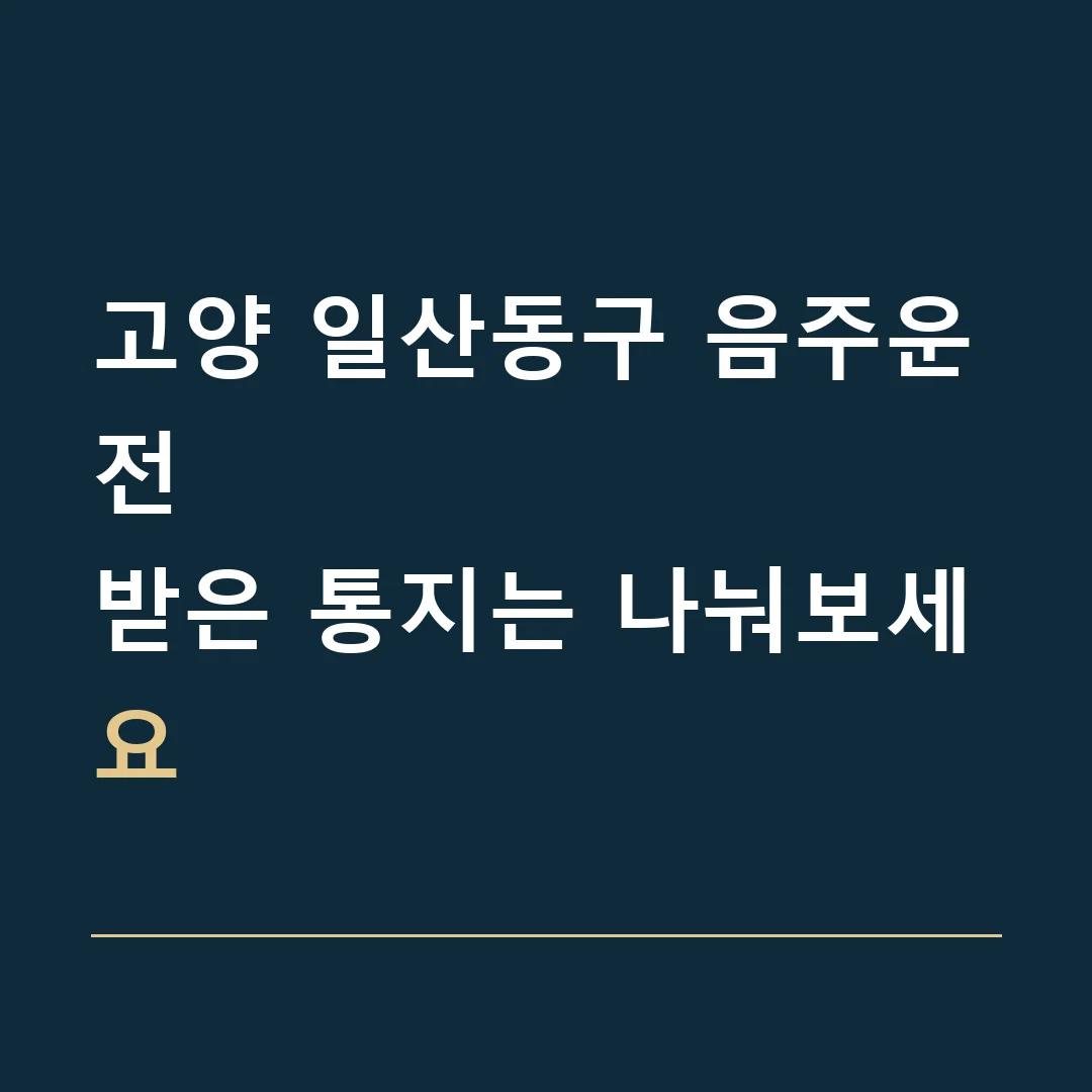 고양 일산동구 음주운전 · 받은 통지는 나눠보세요