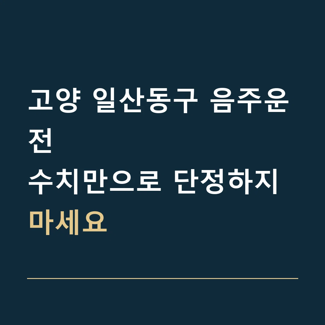 고양 일산동구 음주운전 · 수치만으로 단정하지 마세요