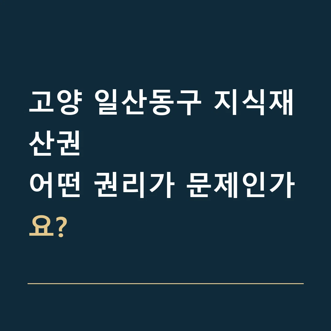 고양 일산동구 지식재산권 · 어떤 권리가 문제인가요?