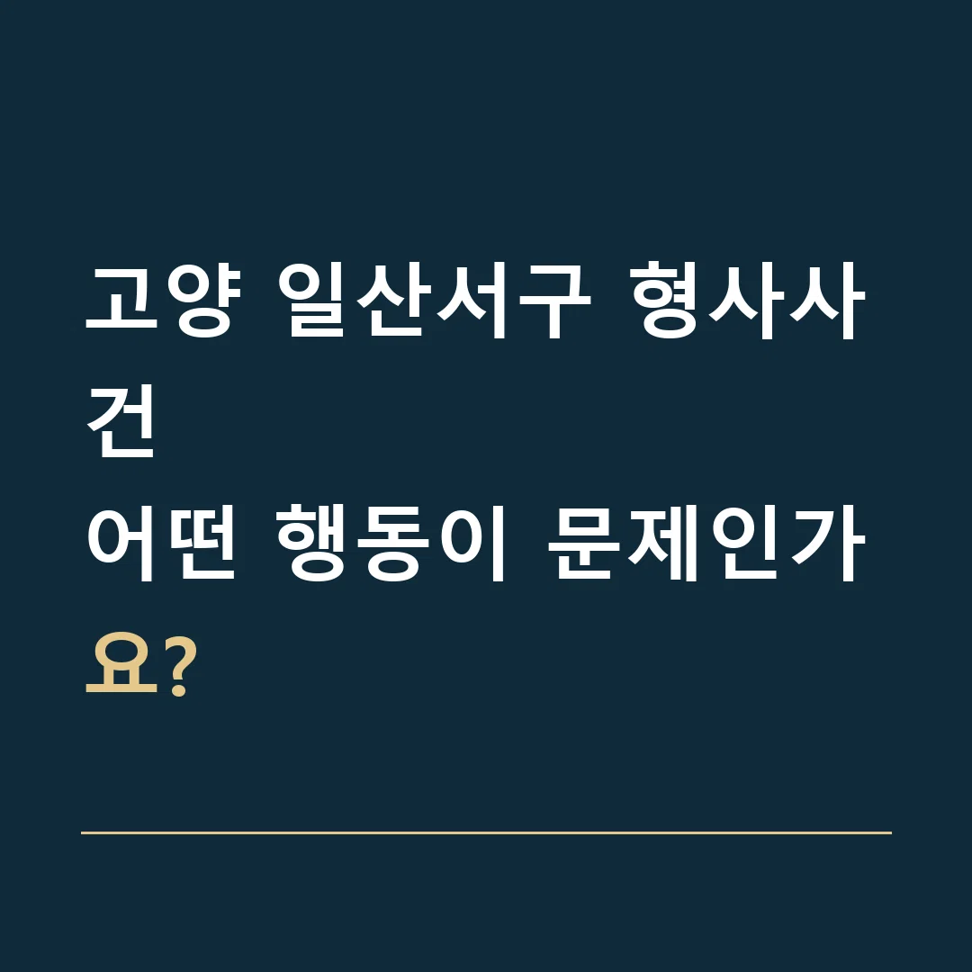 고양 일산서구 형사사건 · 어떤 행동이 문제인가요?