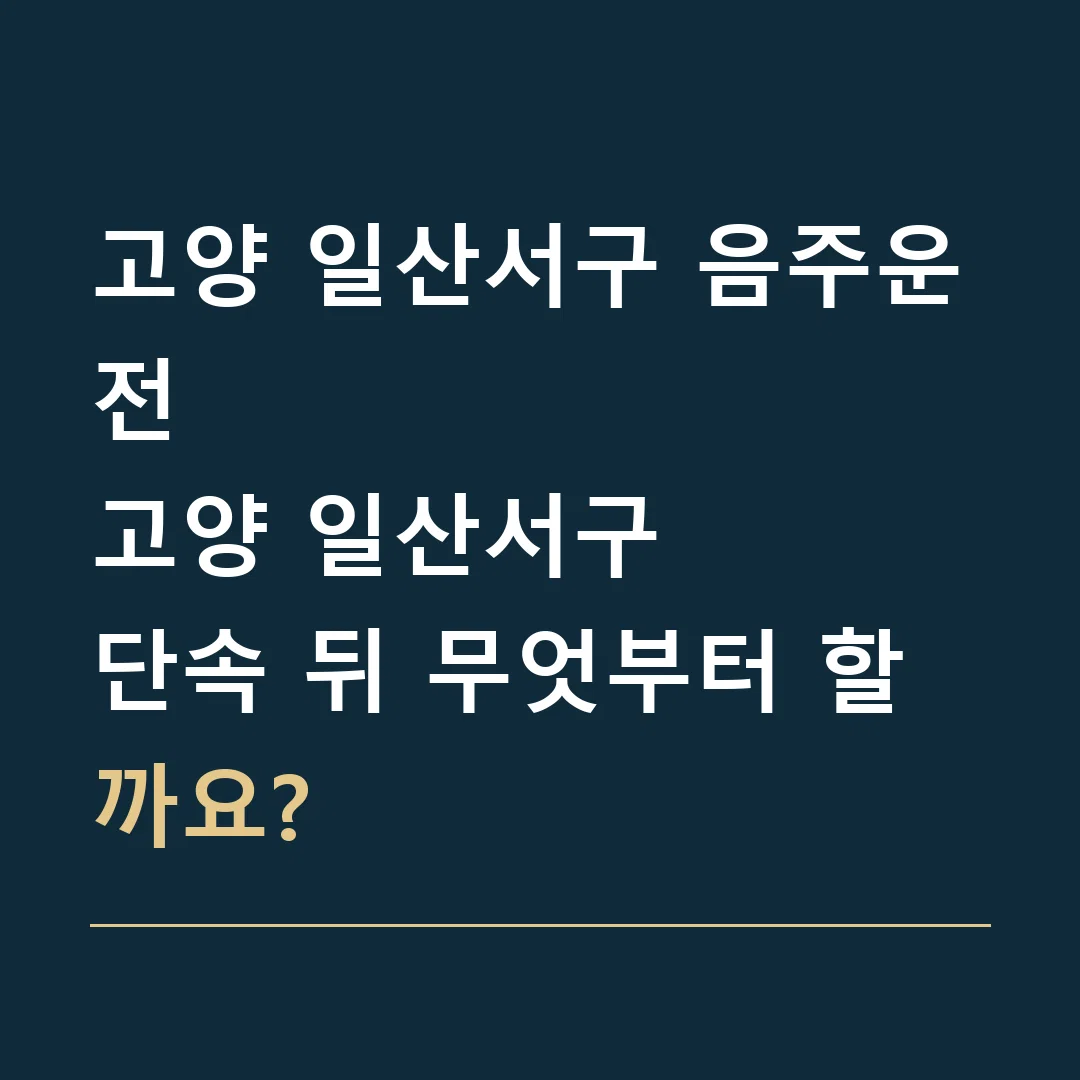 고양 일산서구 음주운전 · 고양 일산서구
단속 뒤 무엇부터 할까요?