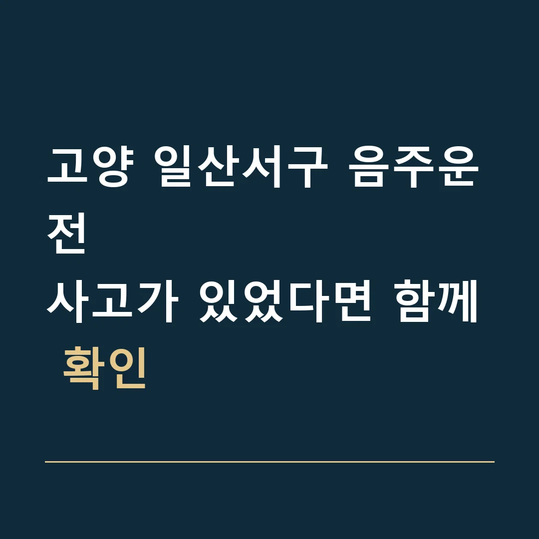 고양 일산서구 음주운전 · 사고가 있었다면 함께 확인