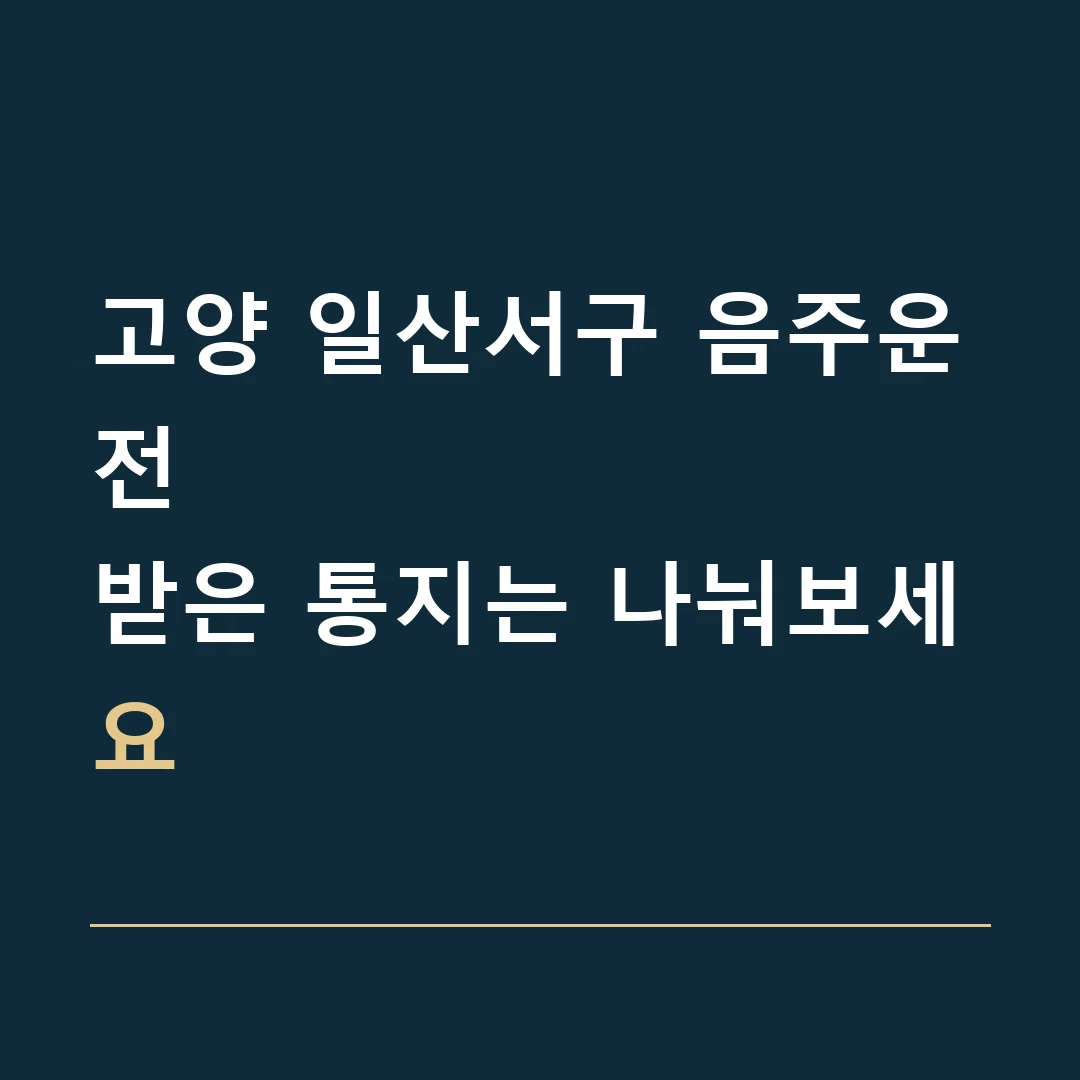 고양 일산서구 음주운전 · 받은 통지는 나눠보세요