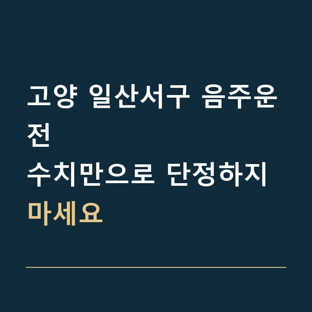 고양 일산서구 음주운전 · 수치만으로 단정하지 마세요