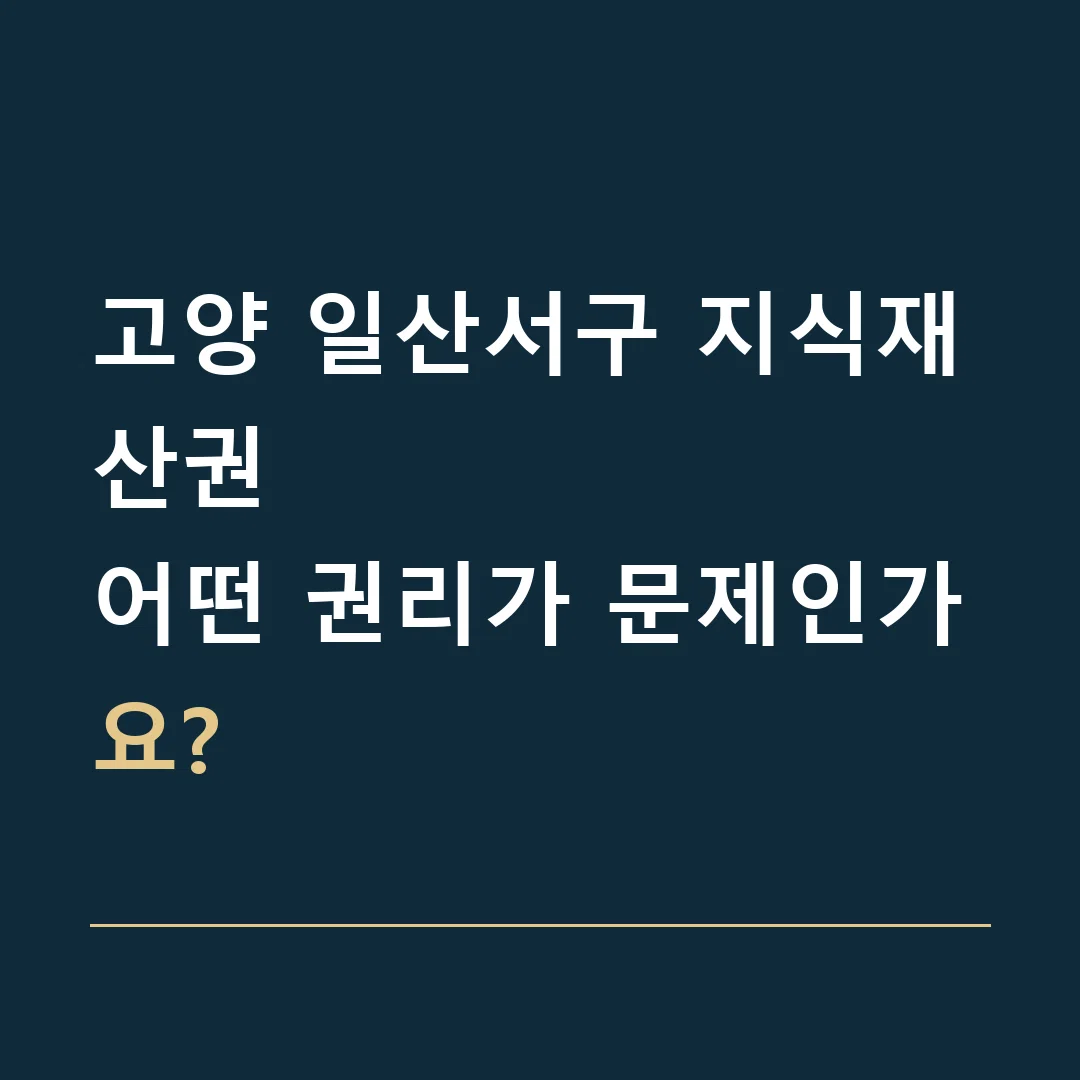 고양 일산서구 지식재산권 · 어떤 권리가 문제인가요?