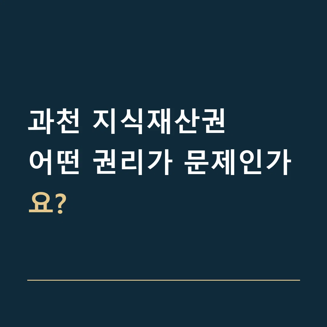 과천 지식재산권 · 어떤 권리가 문제인가요?