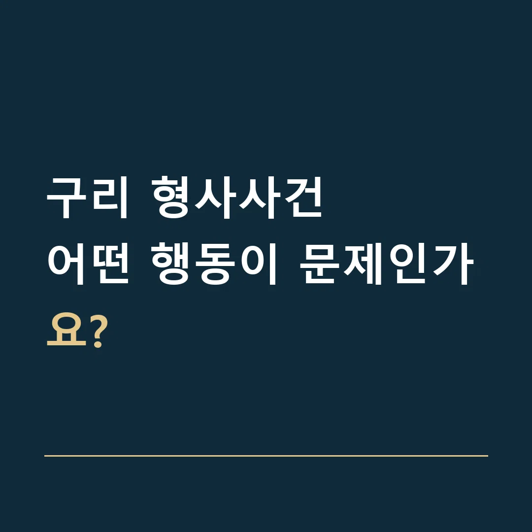 구리 형사사건 · 어떤 행동이 문제인가요?