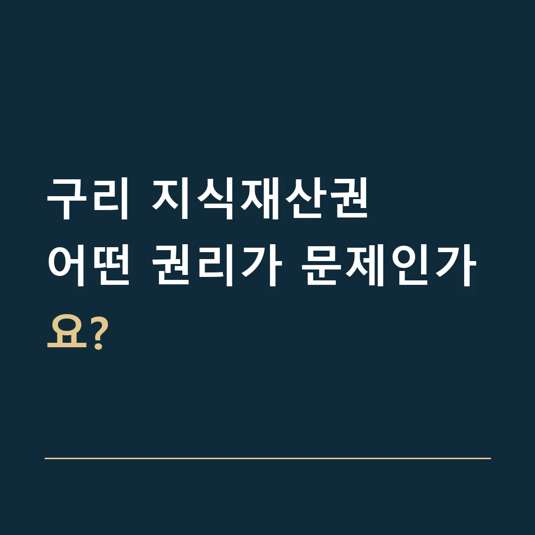 구리 지식재산권 · 어떤 권리가 문제인가요?