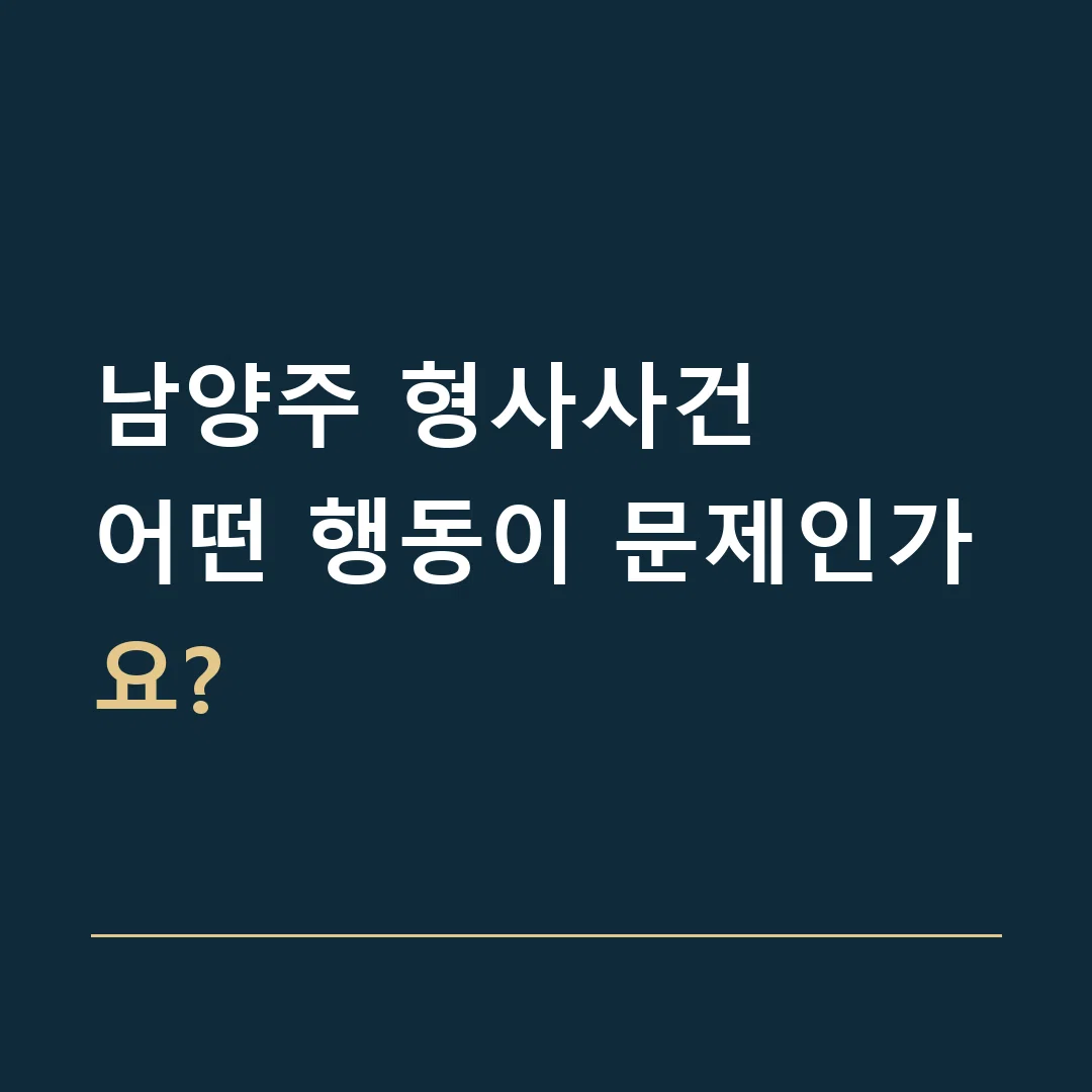 남양주 형사사건 · 어떤 행동이 문제인가요?