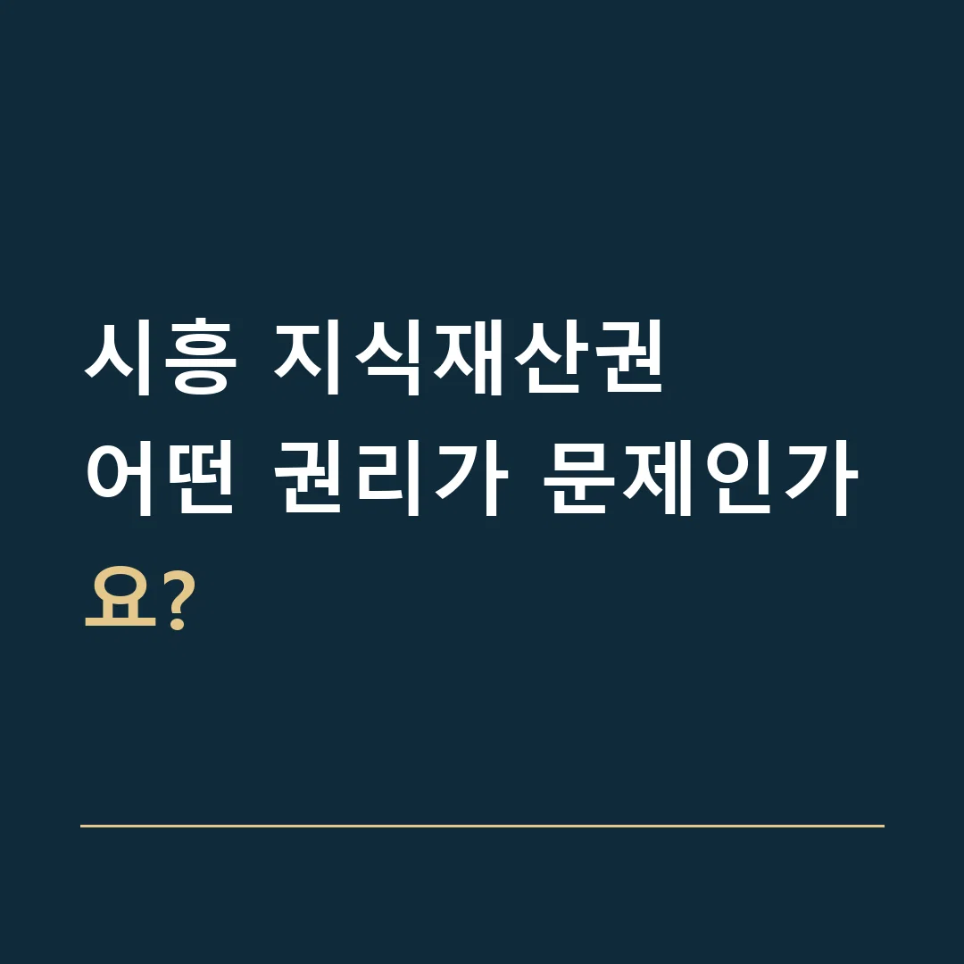 시흥 지식재산권 · 어떤 권리가 문제인가요?