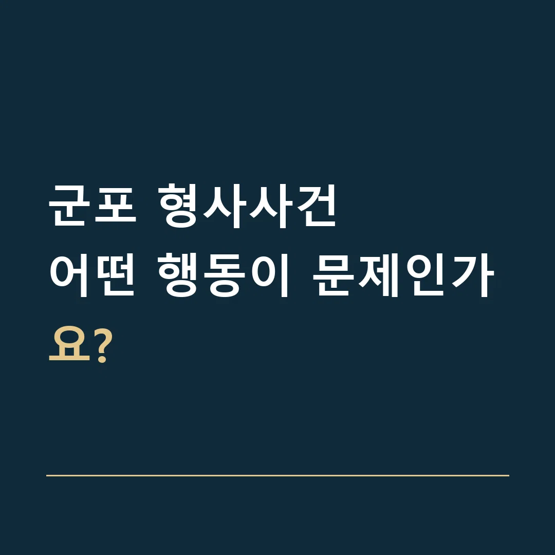 군포 형사사건 · 어떤 행동이 문제인가요?