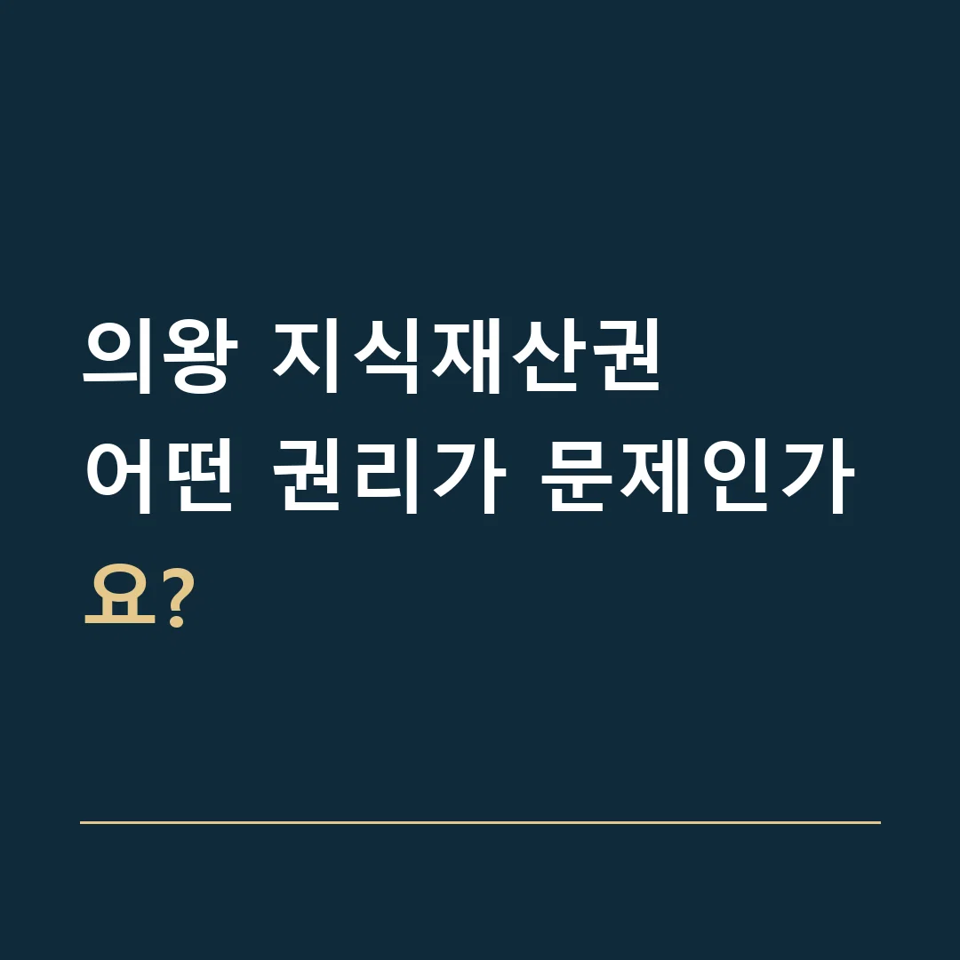 의왕 지식재산권 · 어떤 권리가 문제인가요?